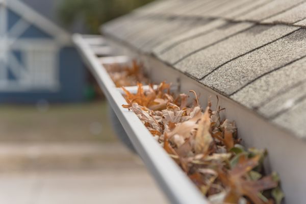 Leaf Barrier Installation in Cedar Rapids